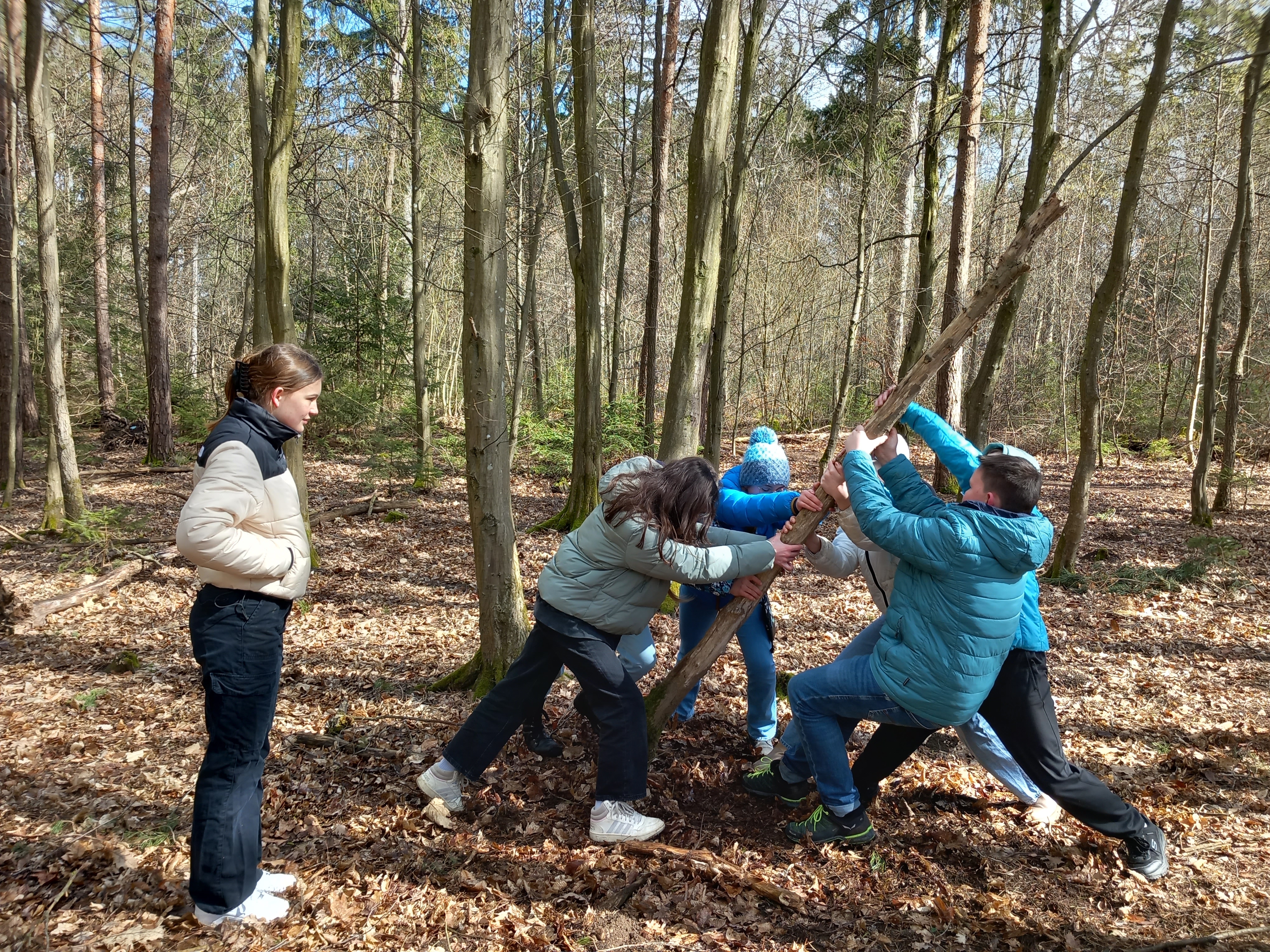 Kinder fällen gemeinsam einen kleinen abgestorbenen Baum.